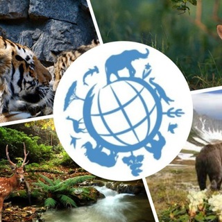 Лучшее с нами!