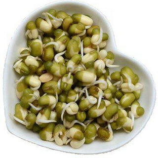 Проростки - живая еда / вегетарианство