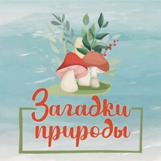 🍄 МУХОМОРЫ | ЕЖОВИК | МИКРОДОЗИНГ🍄ЗАГАДКИ ПРИРОДЫ