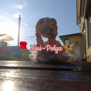 🌹|•DollPoll•|🦋