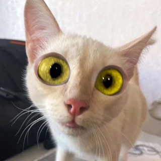 ПростоКопецк!