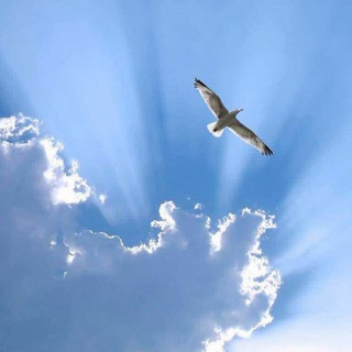 🌏 ПРОСТРАНСТВО по ДУШЕ