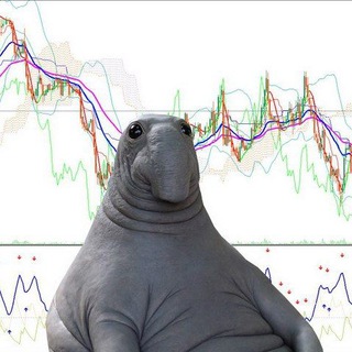 Прозрачный трейдинг