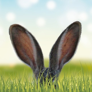 Культ-ПроZект