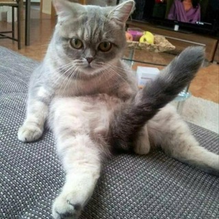 Приколись-Ка