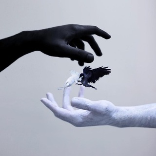 Психология здоровых отношений