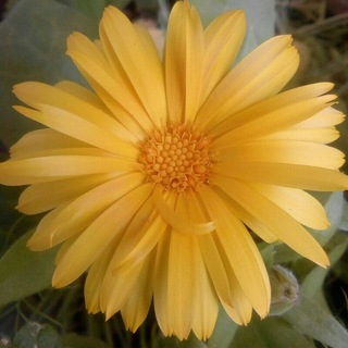 Психология.Познай себя.