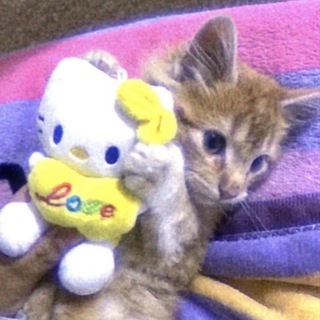 психдиспансер