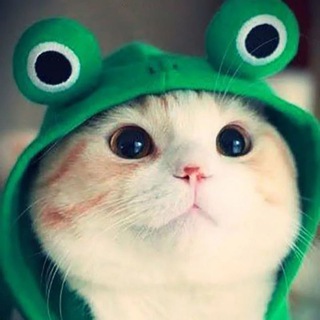 Мемотерапия