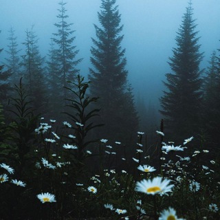 Психология по-простому