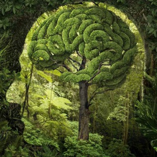 Натура психолога