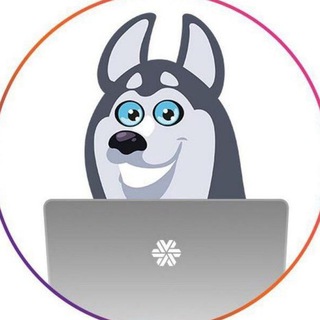 SW_SPB Nauki_LIVESTORE