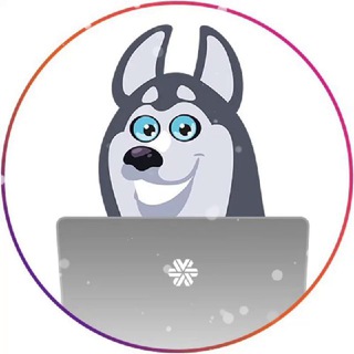 SW_SARATOV_LIVESTORE