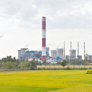 Экспертиза