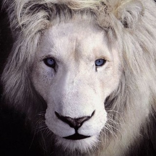 Пономарёв Андрей