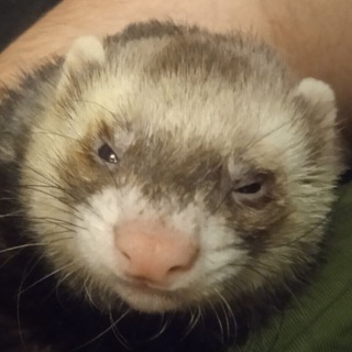 Свалка 4ертил