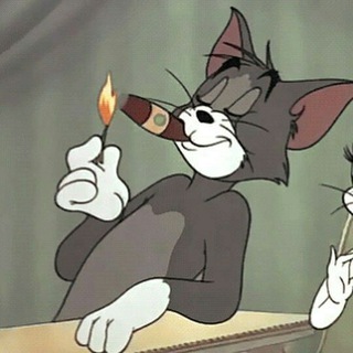 Дневник Тома (Разработчика)