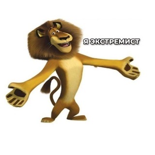 20 взглядов в звук, лишённый памяти