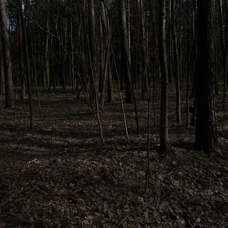 Нервный редкий смех