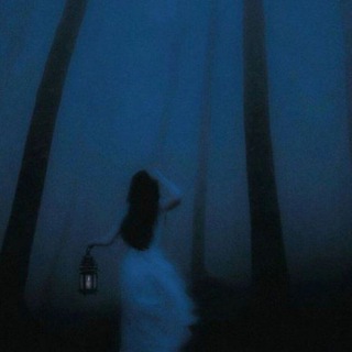 сонная асетоса ᶻ z . . 👁