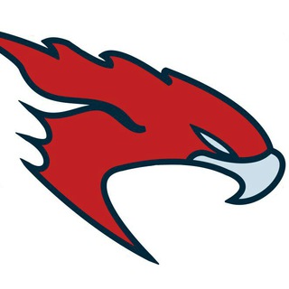 Парящий Сокол