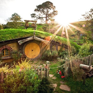 Со-Бытие 🌳