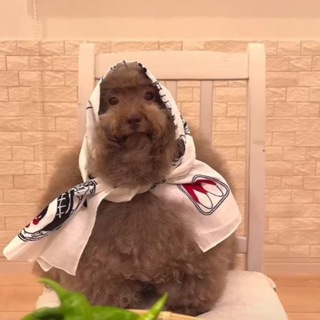 жизнь саши мазелловой шок контент