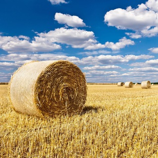 Вести с полей