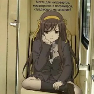 25% блога пиндоса, 75% блога сени