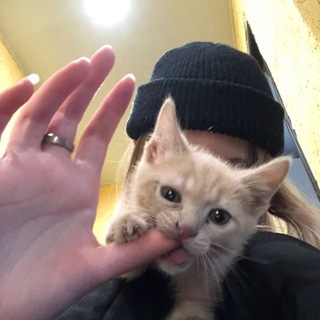 стекловата