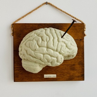 Стружка в доме