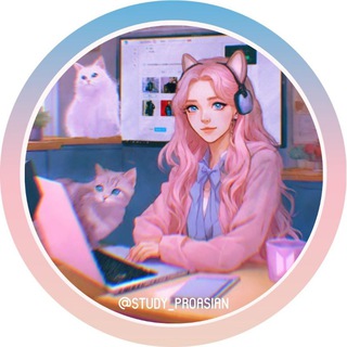 StudyPRO Asian корейский и китайский