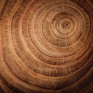 Жизнь как она есть