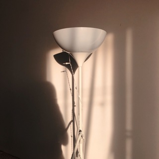 Выросла и кем стала