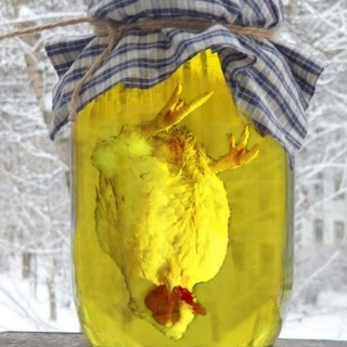 птичковуха