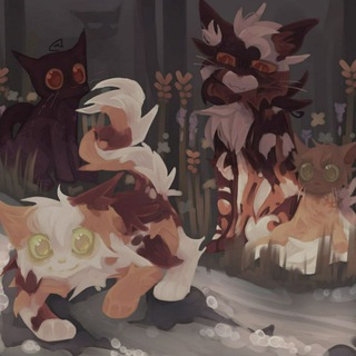 Коты - воители/ warriors cats