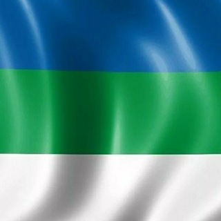 Публичная Коми