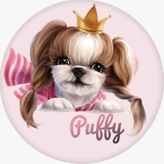 PUFFY GROOM ❤️ Сеть зоосалонов в Москве ✂️🐩🐕🐈😽