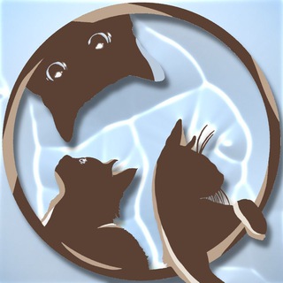 Мурчим о пушистых