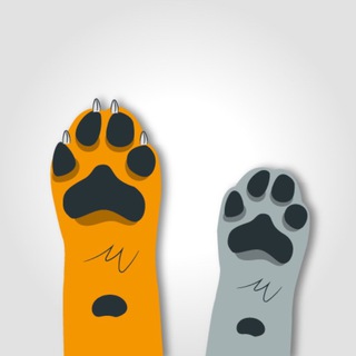 Собакотизм | Пушистый довод