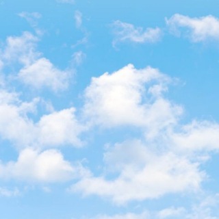 q_dasher читает