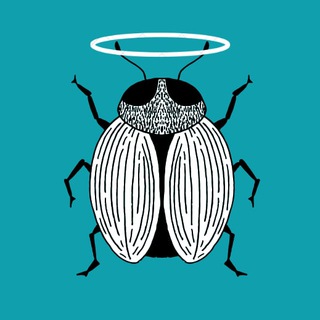 🐞Библиотека QA