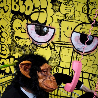 КУДЖЭЙ стейшн