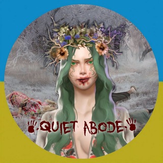 Тиха обитель візуальних новел🪄✨