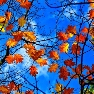 ИНФО Константиновская