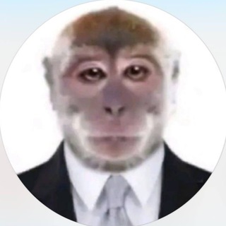 Что делает Роман Журавлев ??