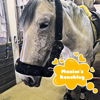 🐴Maxim's konoblog🐴 (архив)