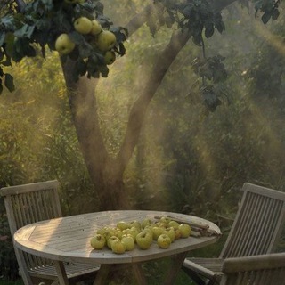 ༻✧◝гром*࿐‧