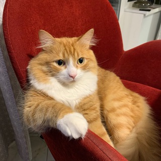 Радио🖤Любовь