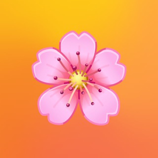 Radish- Одежда большого размера для женщин